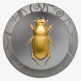 Collection Of 3 Coins    Title Scarab I - Coin, HD Png Download, Transparent PNG