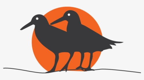 African Oystercatcher Icon - Hummingbird, HD Png Download, Transparent PNG