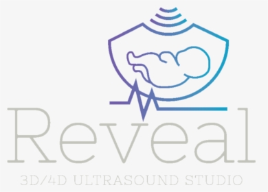3d 4d Ultrasound Studio Gilbert Az, HD Png Download, Transparent PNG