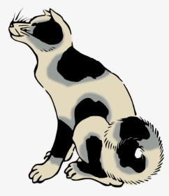 Drawing Whiskers Cat Dog Computer Icons - Breed Vs Species, HD Png Download, Transparent PNG