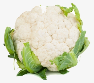 Chou Fleur , Png Download - Cauliflower White Background, Transparent Png, Transparent PNG