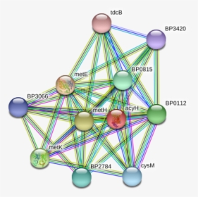 Acyh Protein - Circle, HD Png Download, Transparent PNG