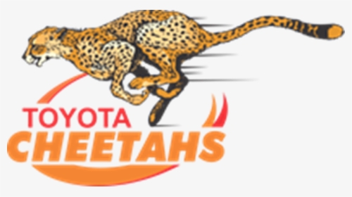 Cheetahs Rugby Logo, HD Png Download, Transparent PNG