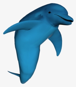 Stock Photo Dolphin, HD Png Download, Transparent PNG