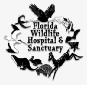 Running Wild 5k - Florida Wildlife Sanctuary, HD Png Download, Transparent PNG