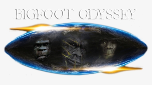 Bigfoot Odyssey - Mountain Gorilla, HD Png Download, Transparent PNG