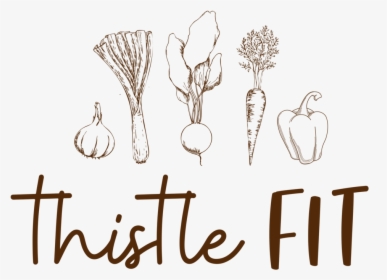 Thistlefit - Final - Illustration, HD Png Download, Transparent PNG