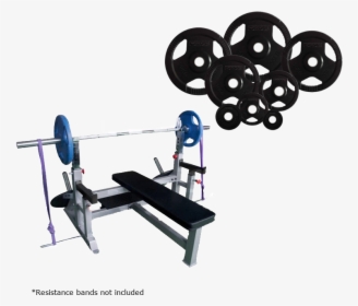 Heavy Duty Olympic Weight Bench, HD Png Download, Transparent PNG