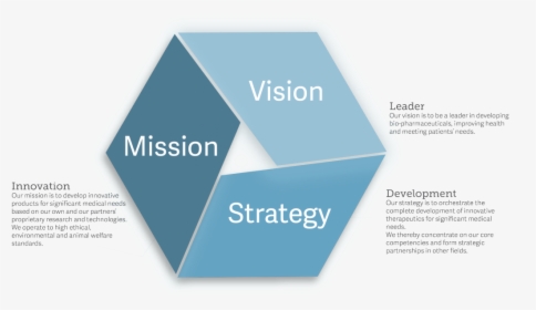 Vision Mission Strategy Statement Infographic - Sunenergy, HD Png Download, Transparent PNG