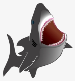 Posted Image - Shark, HD Png Download, Transparent PNG