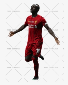 Player, HD Png Download, Transparent PNG