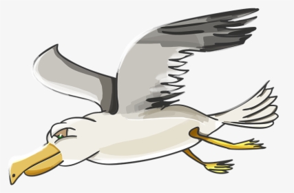 Cartoon Seagull, HD Png Download, Transparent PNG