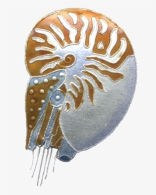 Cuttlefish Png, Transparent Png, Transparent PNG