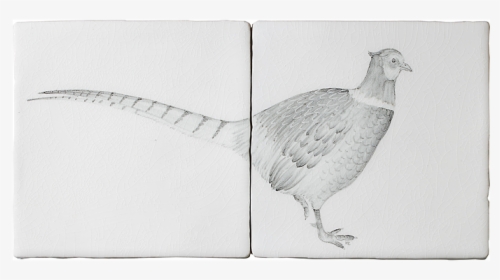 Pheasant 2 Tile Panel A By Marlborough Tiles - Ring-necked Pheasant, HD Png Download, Transparent PNG