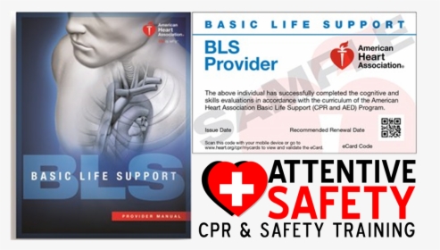 Basic Life Support Pdf American Heart Association, HD Png Download, Transparent PNG