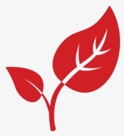 Natural Leaf Logo, HD Png Download, Transparent PNG