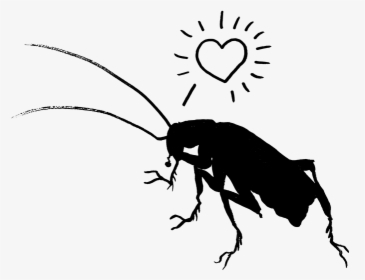 Heartroachindexgallery, HD Png Download, Transparent PNG