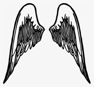 Angel Wings Clip Art Transparent Background, HD Png Download, Transparent PNG