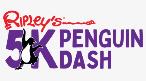 5k Penguin Dash-01 - Poster, HD Png Download, Transparent PNG