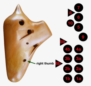 Triple Chamber Ocarina Fingering, HD Png Download, Transparent PNG