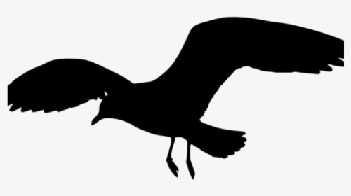 Sea Gull Silhouette, HD Png Download, Transparent PNG