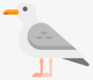 Seagull - Seabird, HD Png Download, Transparent PNG