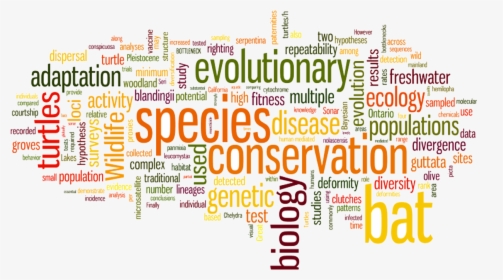 Conservation Biology, Molecular Ecology And Population - Nuage De Mot Accident De Travail, HD Png Download, Transparent PNG