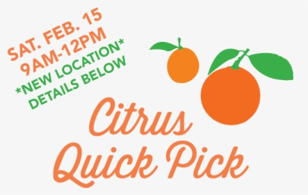 2020 Citrus Quick Pick - Illustration, HD Png Download, Transparent PNG