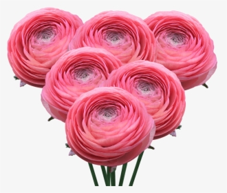Ranunculus Coral Bouquet Flowers Online Today - Persian Buttercup, HD Png Download, Transparent PNG