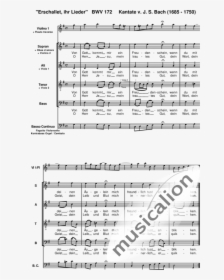 Bach, Johann Sebastian - Music, HD Png Download, Transparent PNG