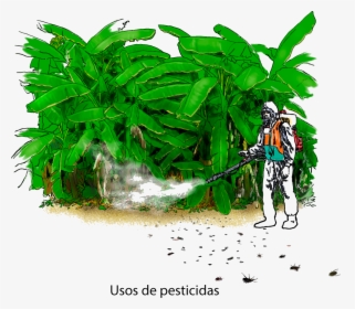 Illustration, HD Png Download, Transparent PNG