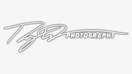 Picture, HD Png Download, Transparent PNG