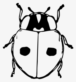 Line Art,monochrome Photography,ladybird - Clipart Stag Beetle Beetle Cartoon, HD Png Download, Transparent PNG