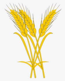 Illustration, HD Png Download, Transparent PNG