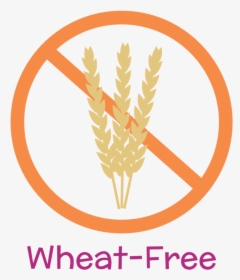 Wheat Free Icon Nomster Chef - Light At Night Disrupts Circadian Clock, HD Png Download, Transparent PNG
