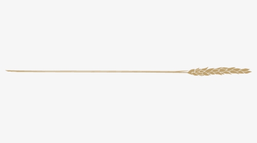Tan, HD Png Download, Transparent PNG