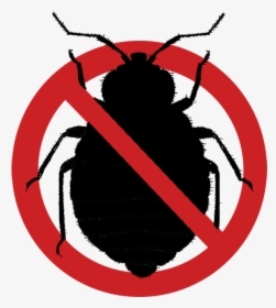 Bed Bug Elimination Logo - Bed Bug, HD Png Download, Transparent PNG