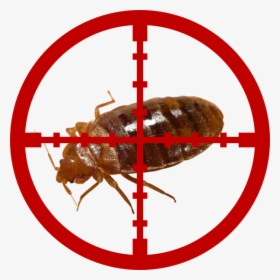 Bed Bugs - Cross Hairs Clip Art, HD Png Download, Transparent PNG