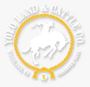 Yolo Land And Cattle Co - S & J, HD Png Download, Transparent PNG