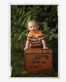 Harford County Baby Photographer Jen Snyder Of Lux - Toddler, HD Png Download, Transparent PNG