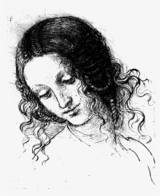 Head Of A Woman Lucan Portrait Leonardo - Leonardo Da Vinci A Life In Drawing, HD Png Download, Transparent PNG