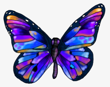 Rainbow Butterfly Clipart Picsart - Butterfly Picsart, HD Png Download, Transparent PNG