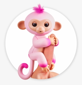 Fingerlings Monkey 2tone Ombre Emma - Coolest Christmas Gifts For Girls, HD Png Download, Transparent PNG
