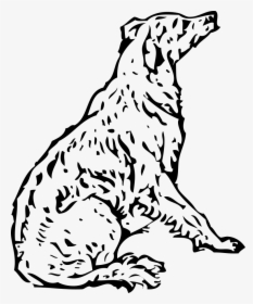 Golden Retriever Coloring Pages, HD Png Download, Transparent PNG
