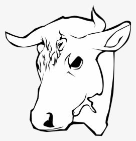 Bull, HD Png Download, Transparent PNG