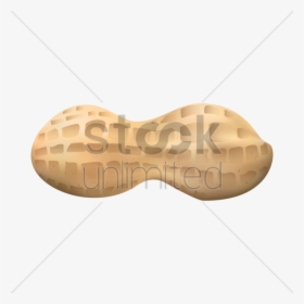 Peanut Clipart Nutshell - Illustration, HD Png Download, Transparent PNG