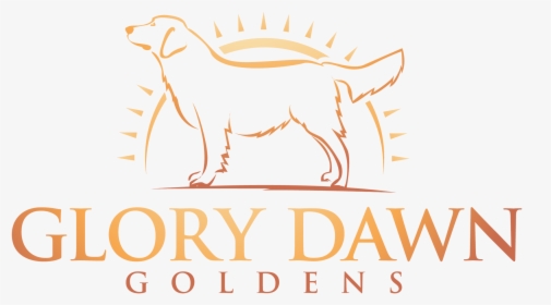 Glory Dawn Goldens Logo - Barbados, HD Png Download, Transparent PNG