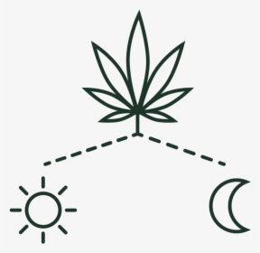 Icon The Plant-16 - Cannabis, HD Png Download, Transparent PNG
