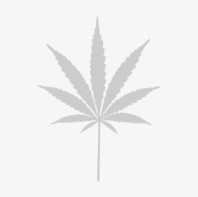 Weed Leaf Png Svg Cannabis Images In Collection - Pot Leaf, Transparent Png, Transparent PNG