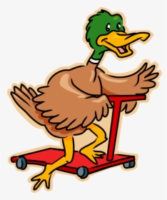 Transparent Mallard Duck Png - Duck Riding A Scooter, Png Download, Transparent PNG